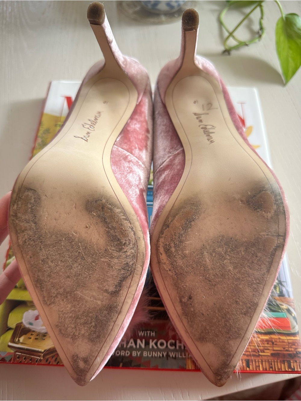 Sam Edelman Blush Pink Velvet Pointed-Toe Pumps with Pom Pom - Picture 5 of 5
